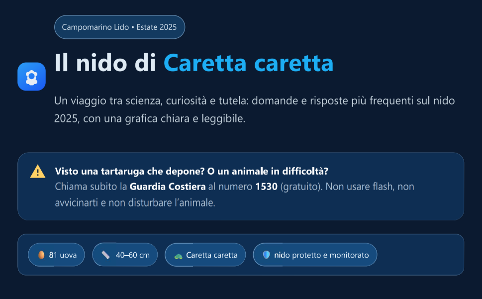 Anteprima dell’ebook PDF
