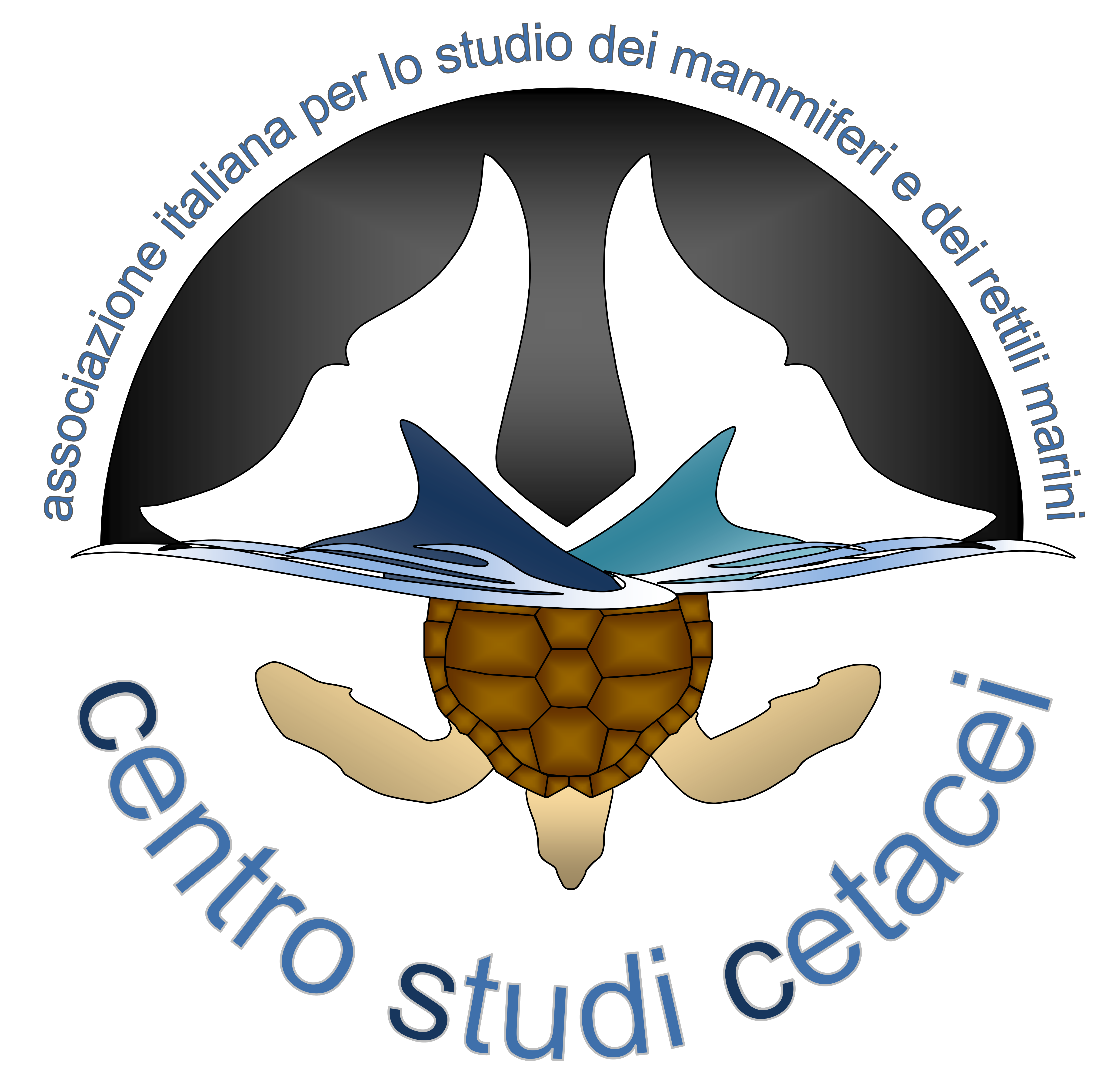 Logo Centro Studi Cetacei