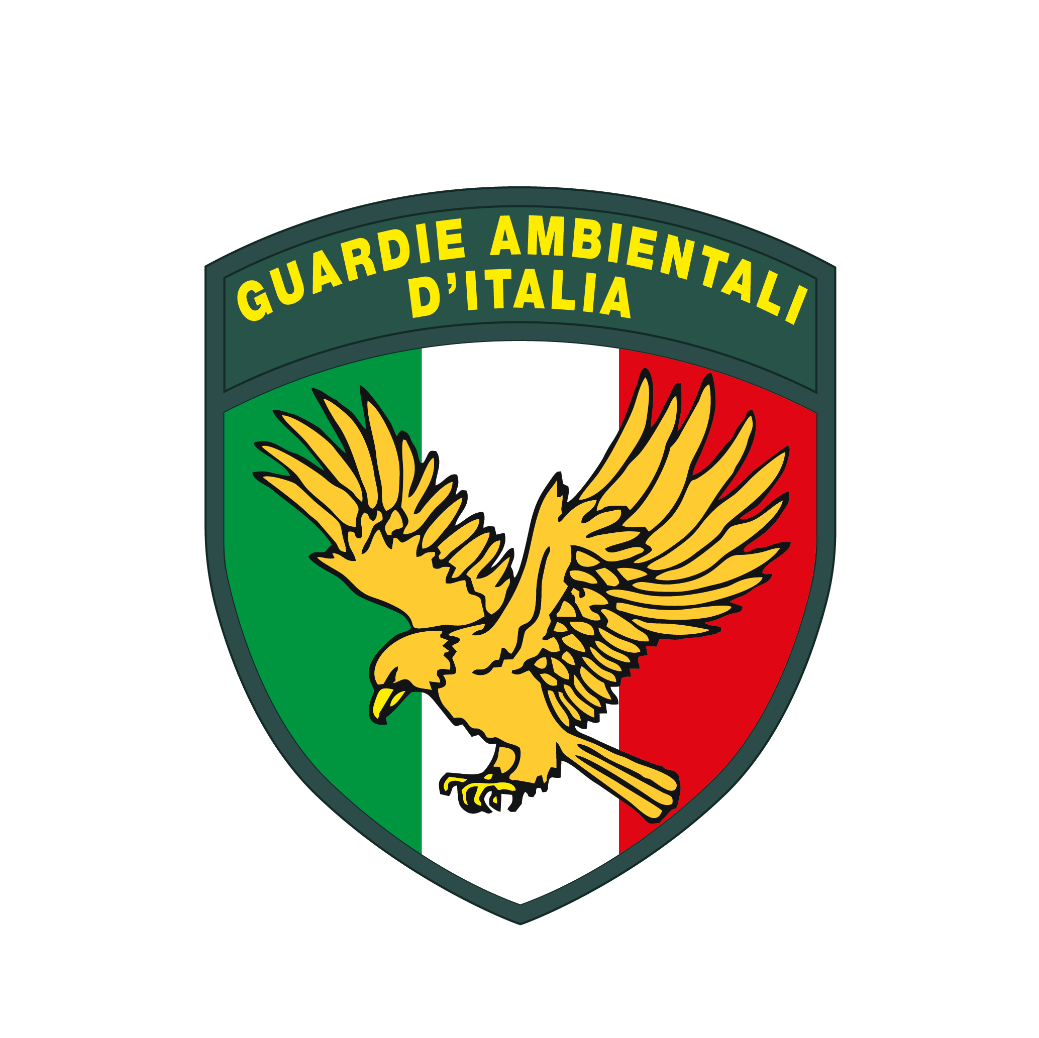 Logo GADIT ODV Termoli